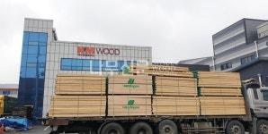 케이엠글로비스, 유럽산 비치 제재목