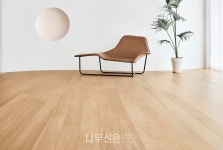 이건마루, 100% Made in Korea 포레스타