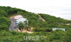 산림청, 국립무의도자연휴양림 개장