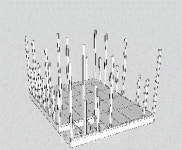 [한국의 목조주택 설계 · 시공자를 위한] 일본 중목구조 설계와 시공 7