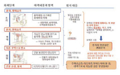 [한국의 목조주택 설계 · 시공자를 위한] 일본 중목구조 설계와 시공 15