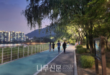 산림청, 한여름 밤의 가로수길
