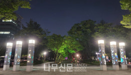 산림청, 한여름 밤의 가로수길