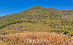 북부지방산림청, 산림유전자원보호구역 확대 지정