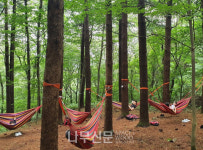 국립자연휴양림, 산림치유 프로그램 운영