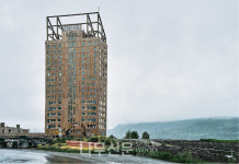 숲과 삶 : 숢(숲과 함께 하는 나의 삶 이야기)③