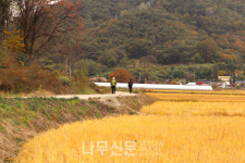 산림청, 속리산둘레길 국가숲길로 지정