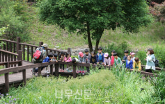 국립자연휴양림관리소, 산림교육·치유프로그램 3월부터 본격 운영