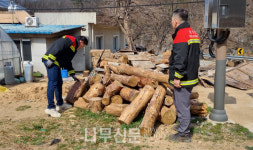 남부지방산림청, 봄철 소나무류 이동 단속