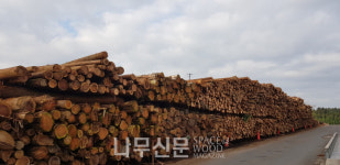 전문가 진단 | 잘못 만든 바이오매스 신재생에너지 제도, 언제까지 그대로 유지할 것인가_외국 사례와의 비교