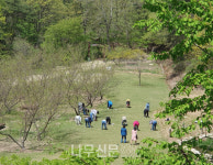 국립대전숲체원, 어린이집 보육 교직원 심신 회복 프로그램 운영