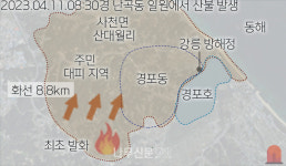 목조건축대전 | 테트라 포레스트