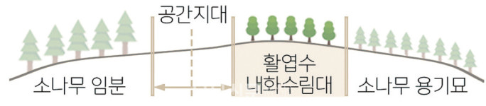 목조건축대전 | 테트라 포레스트
