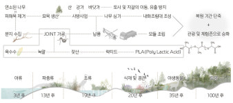 목조건축대전 | 테트라 포레스트