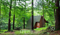 국립자연휴양림, 국가산림문화자산 6선 소개