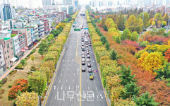 산림청, 우수 관리 가로수길 6개소 선정