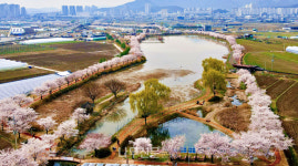 올해의 모범 도시숲 5곳 선정