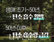 국가건축정책위원회, 목조건축이 답이다