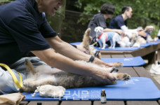 반려동물과 함께 숲치유 어떠세요?