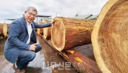 주식회사 신일산림임업 | 르포 | 조림에서 벌목, 가공, 유통, 건축까지…일본의 임업과 목재산업