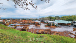 르포 | 조림에서 벌목, 가공, 유통, 건축까지…일본의 임업과 목재산업