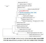 국립산림과학원, 생육 개선·병해 방제에 효과적인 신규 미생물 특허 출원