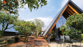 카페 유지부터 스테이 와타까지…바람의 섬 제주에 스며든 목조건축의 감성