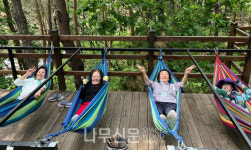 경기투어패스로 숲여행 떠나볼까?