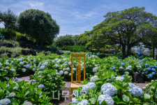 제주허브동산, 2025 여름 정원 축제 개최