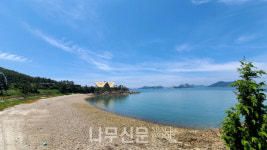 국립자연휴양림관리소, 여름철 오션뷰 휴양지 4곳 소개