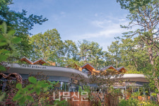 숲에 머물고 나무 위에서 거닐다…서울 첫 도심형 트리하우스