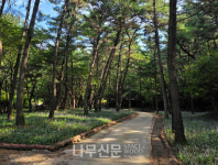 국림자연휴양림, 노후 야영장 개선·편의시설 확충