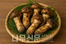 산림청, 추석 맞아 송이·능이·잣 등 국유임산물 양여 추진