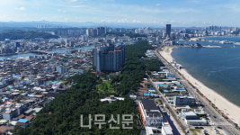 산림청도 인정한 가을에 걷기 좋은 도시숲 6선