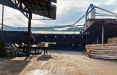 일본 제재소 목재제품의 가격과 재고가 한눈에…ALMOK