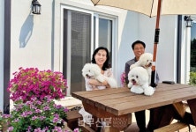 익산 황등리 주택의 저녁해는 천천히 흐른다