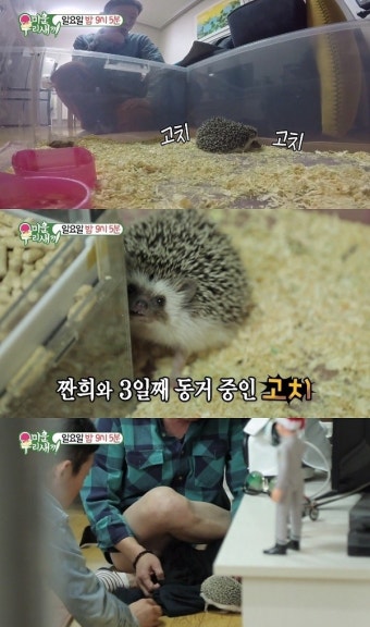 '미운우리새끼' 임원희, 고슴도치와 함께하는 일상 & 김민준 아내, GD(지드래곤) 누나 권다미 '8살 나이 차이'