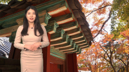 외국인에 여행지로 전주 강추 … 한옥마을 등 전통美 그대로