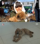 TV동물농장 이효리가 말하는 반려견과의 이별…순심이가 남긴 것들