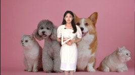 [비글뉴스] 반려동물 입양전 의무교육 필요한가?