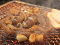 생방송투데이 마늘 산낙지구이-모둠 닭갈비, 대구 숯불구이의 최강 조합!