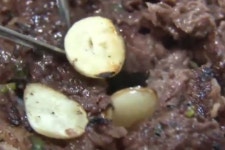 생방송투데이 군산식 떡갈비, 터져 나오는 육즙과 부드러운 식감!