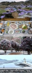 이만기 동네한바퀴 신비로운 갯벌과 청정 바다, 전남 신안