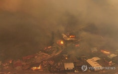 산불 강타 천년고찰 고운사...석조여래좌상 옮겨