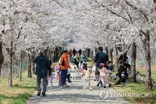 봄꽃 향연 속 강원 동해안, 축제의 물결... 봄꽃 개화에 맞춘 축제 개최