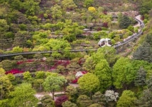 [축제일정] 삼성 에버랜드,가든 패스 vs  LG 화담숲, 16개 테마원...정원 전쟁