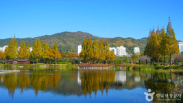 김해 가볼 만한 곳, 문화가 숨 쉬는 도심 속 여정