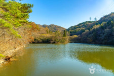 화순 가볼 만한 곳, 물안개 피어오르는 세량지의 봄날