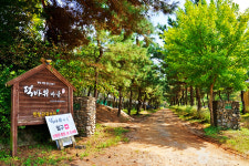 논산의 여름, 역사와 자연을 만나는 가볼 만한 곳