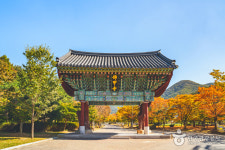 불교 문화의 향기 가득한 영광, 가볼 만한 곳